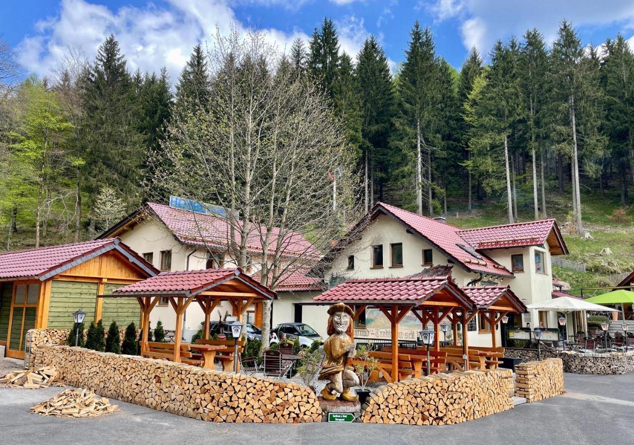 Hotel & Gasthaus Sterngrund Zella-Mehlis Exteriér fotografie