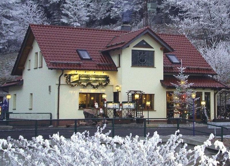 Hotel & Gasthaus Sterngrund Zella-Mehlis Exteriér fotografie